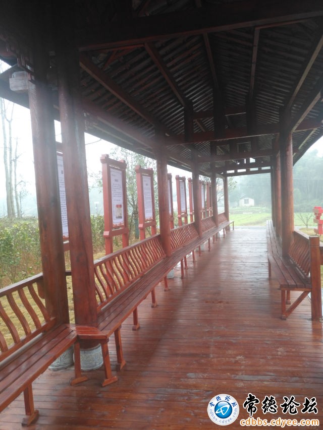 触屏版