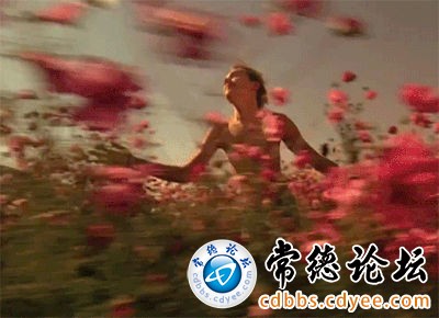 触屏版