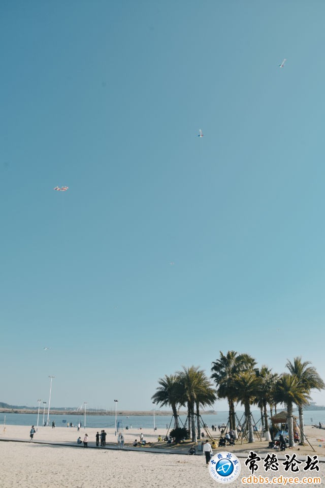 触屏版