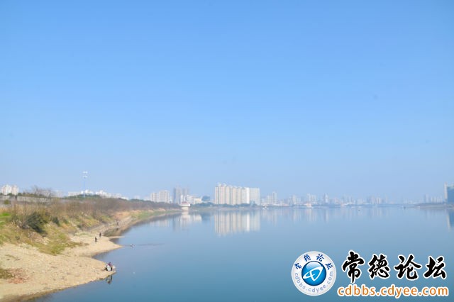 触屏版