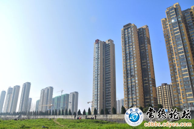 触屏版