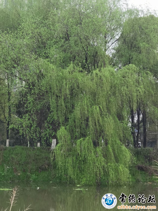触屏版