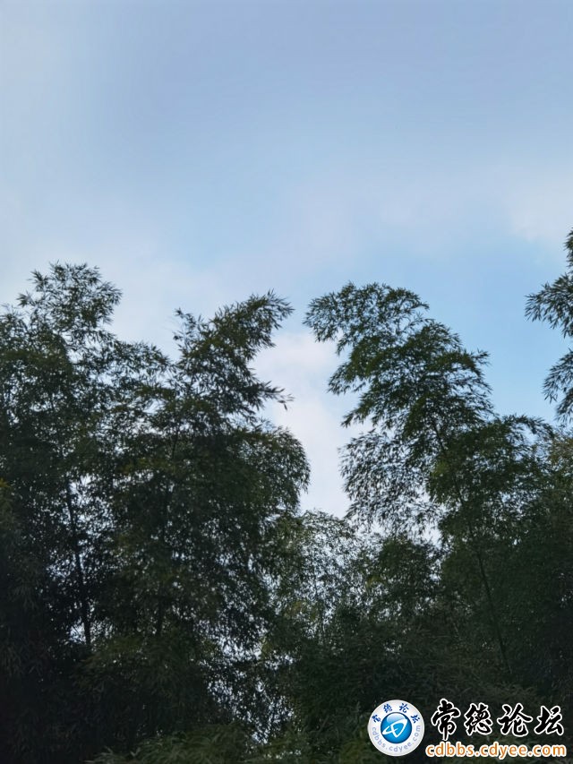 触屏版