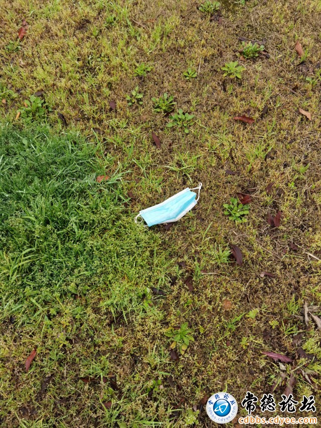 触屏版