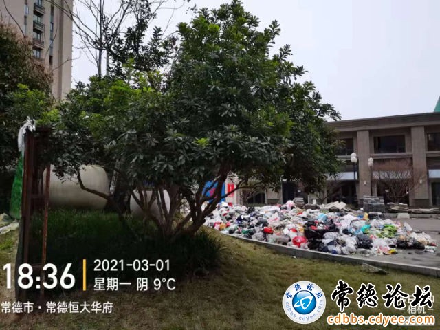 触屏版
