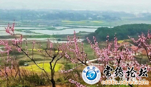 触屏版