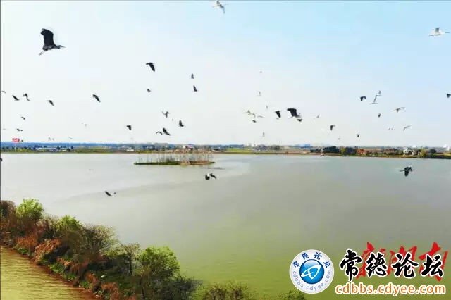 触屏版