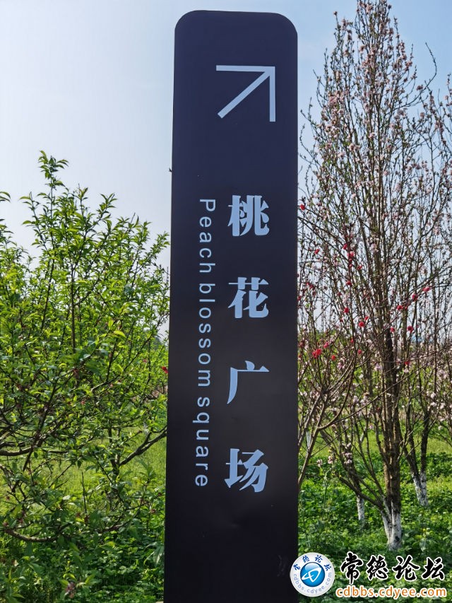触屏版