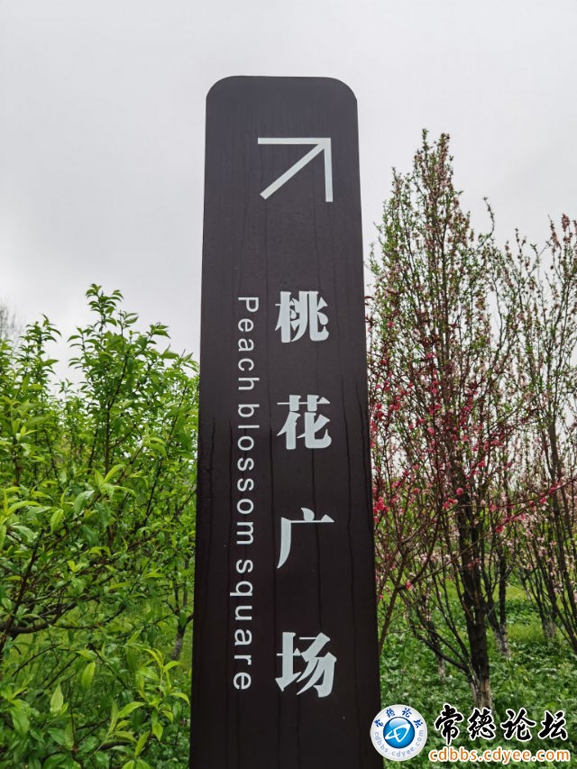 触屏版