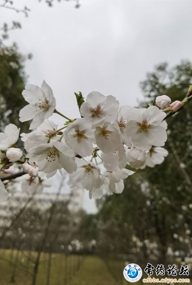 触屏版