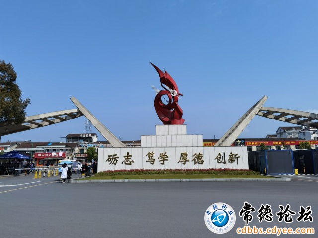 触屏版