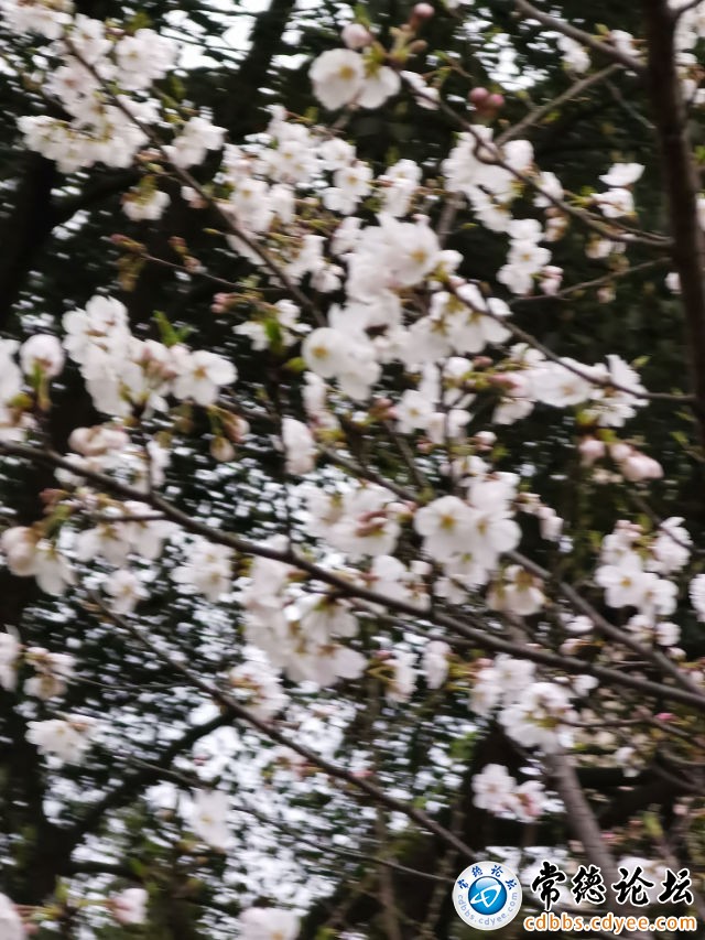 触屏版