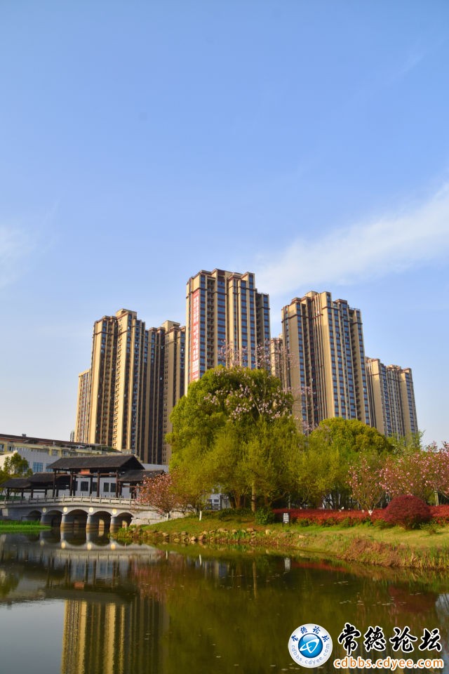触屏版