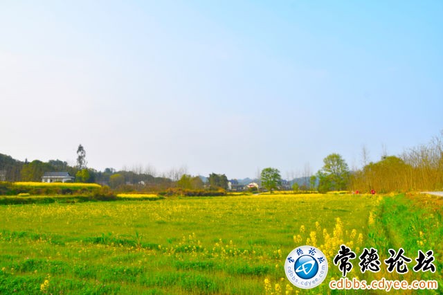 触屏版