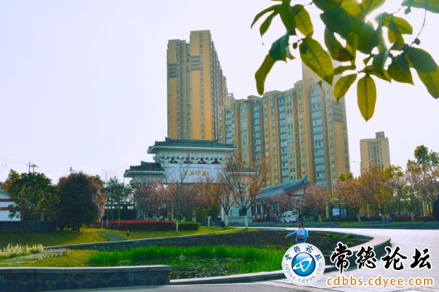 触屏版
