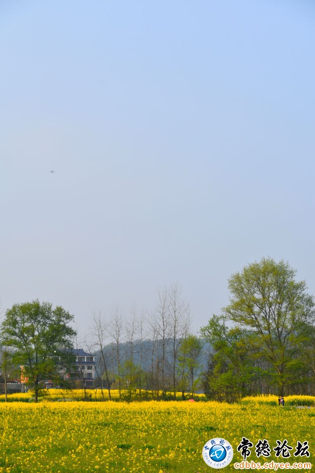 触屏版