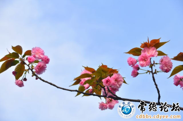 触屏版