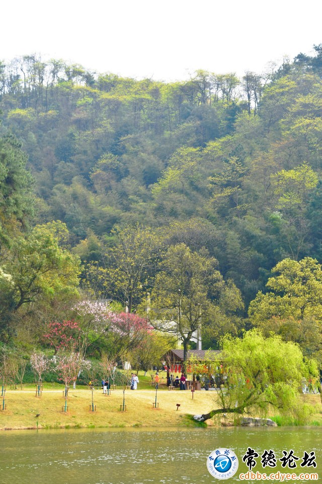 触屏版
