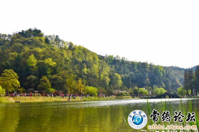 触屏版