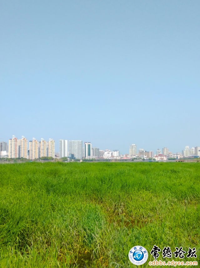触屏版