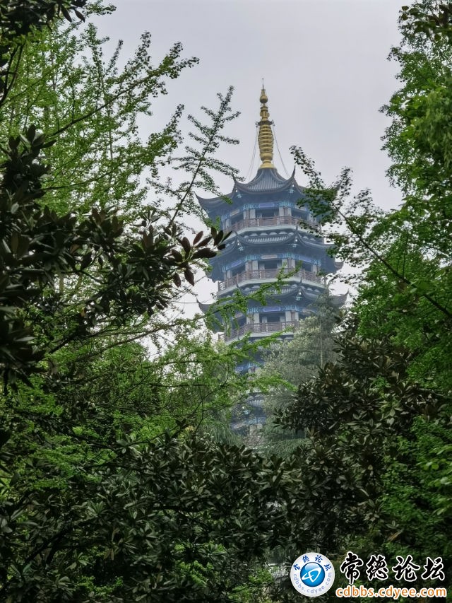 触屏版