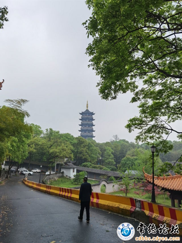 触屏版