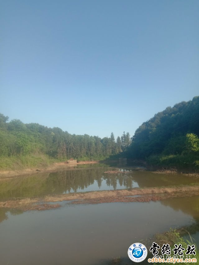 触屏版