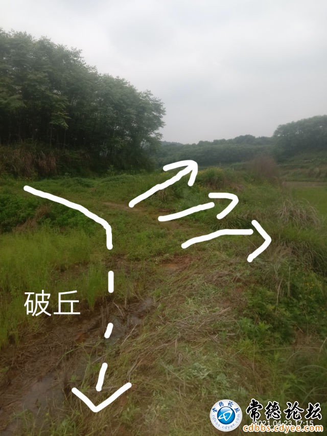 触屏版
