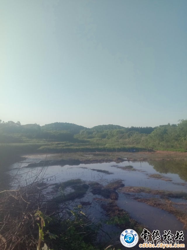 触屏版