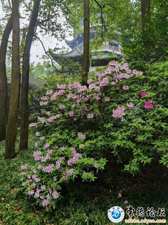 触屏版