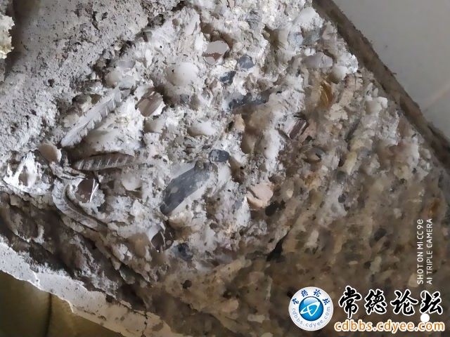 触屏版