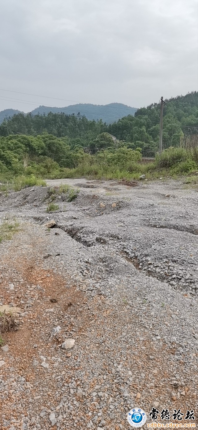 触屏版