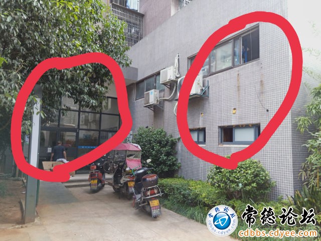 触屏版