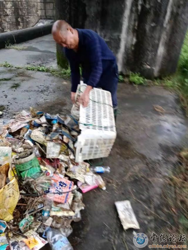 触屏版