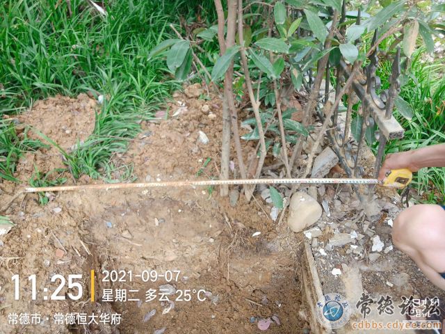 触屏版