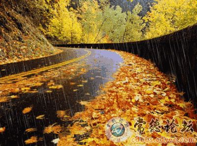 触屏版