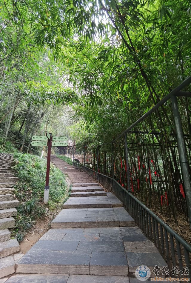 触屏版