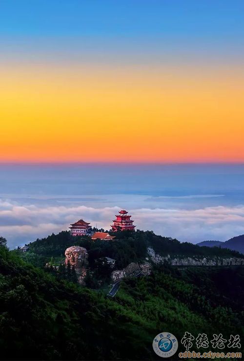 触屏版