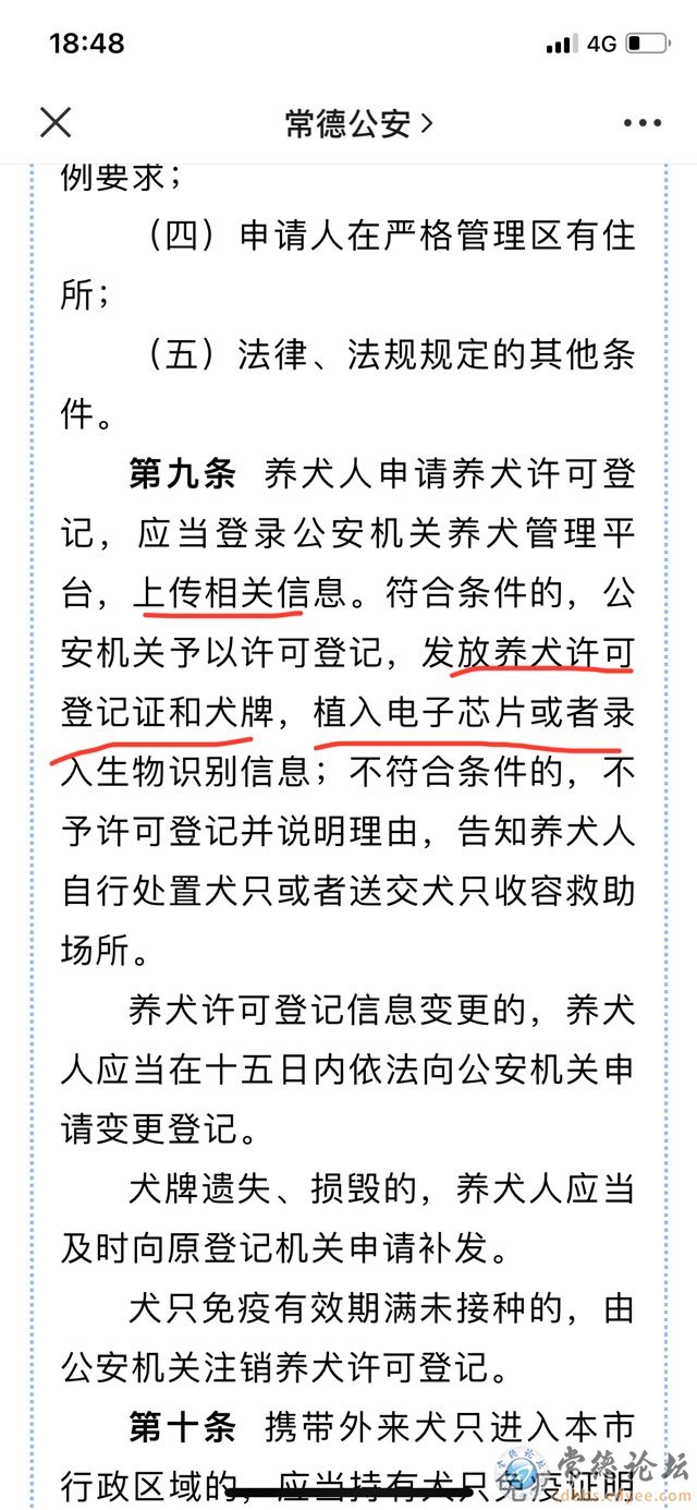 触屏版