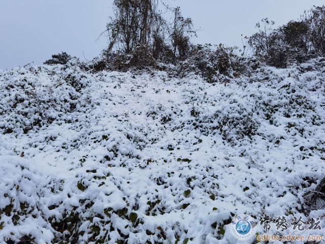 触屏版