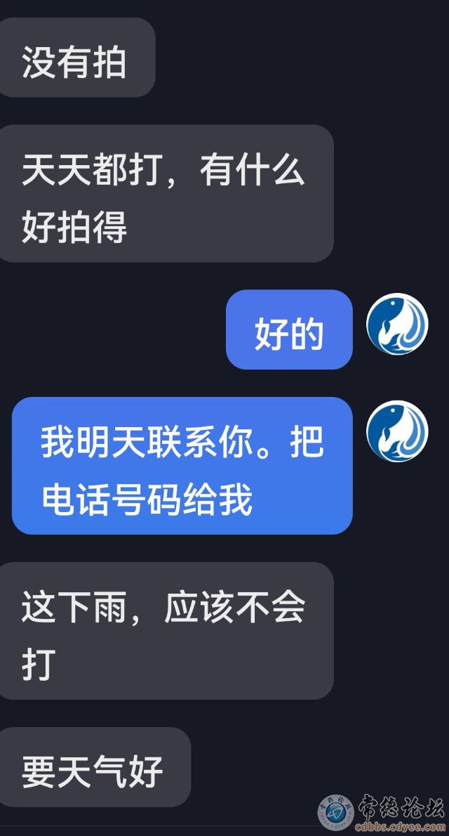 触屏版