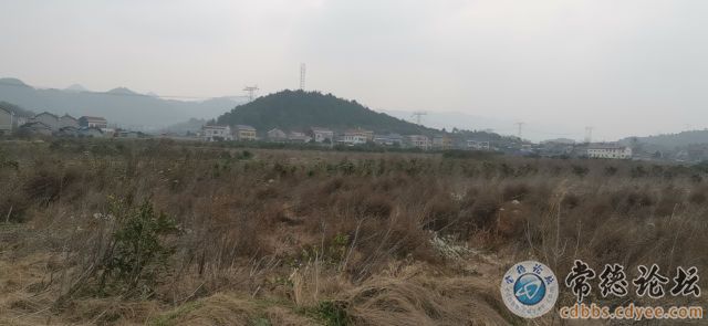 触屏版