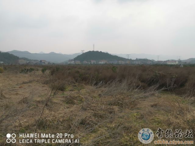 触屏版