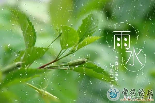 触屏版