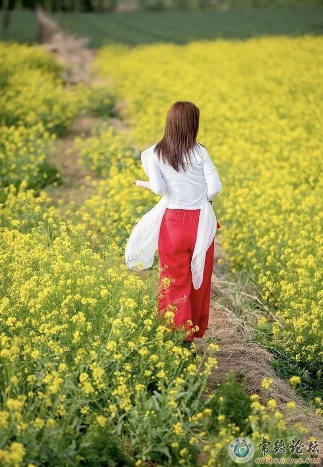 触屏版