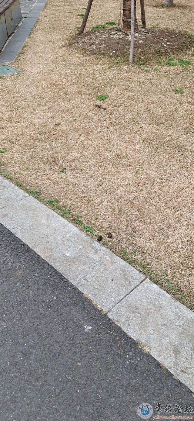 触屏版