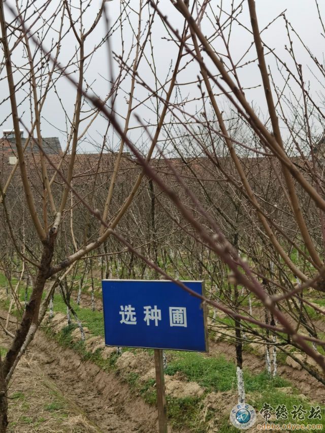 触屏版