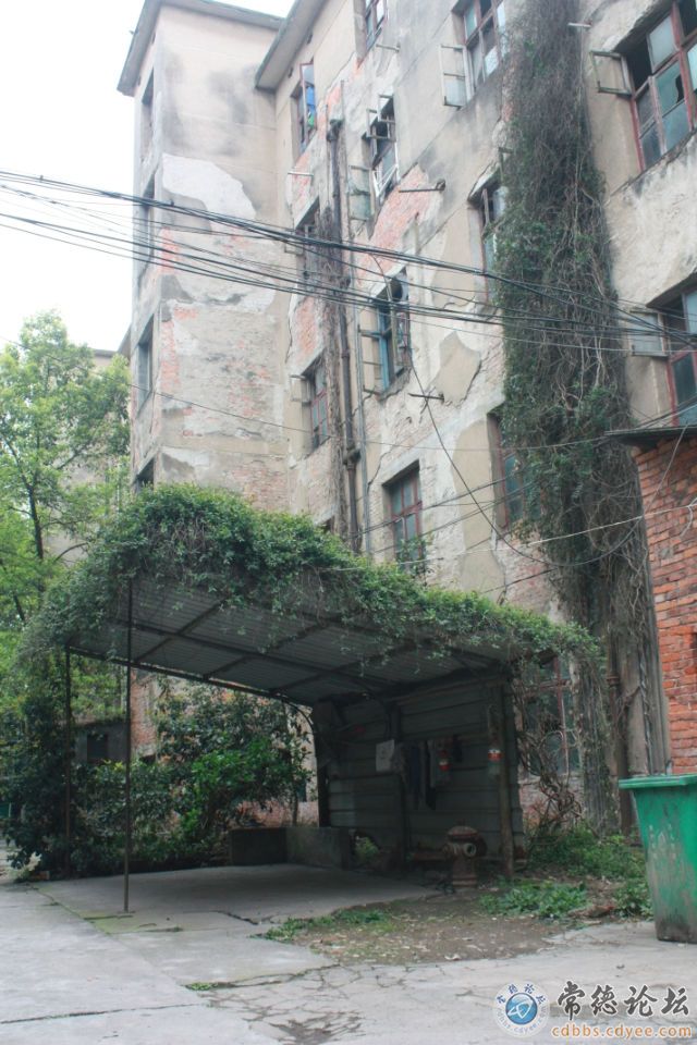 触屏版