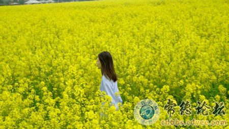 触屏版