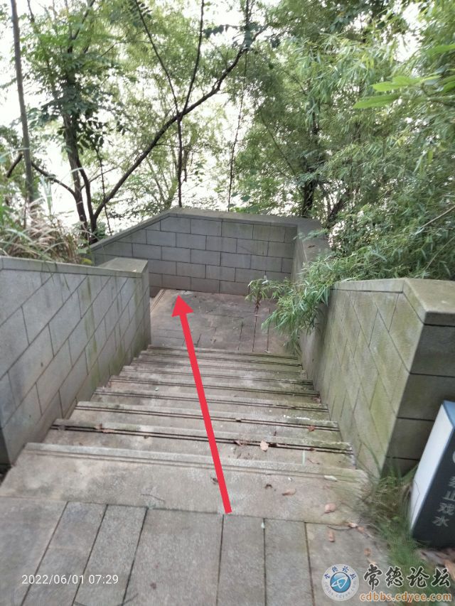 触屏版